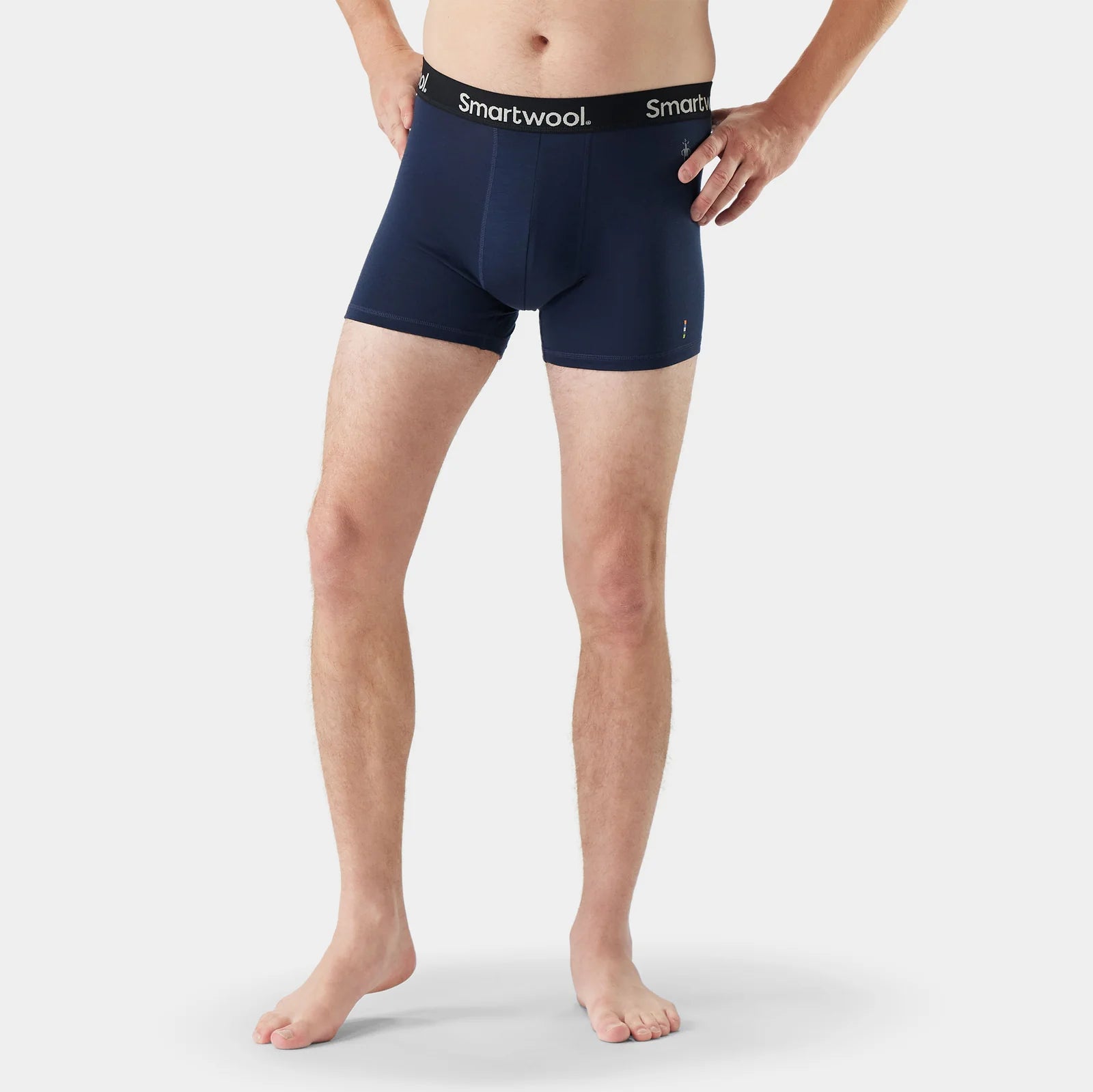 Mens Everyday Merino Boxer Brief Boxed