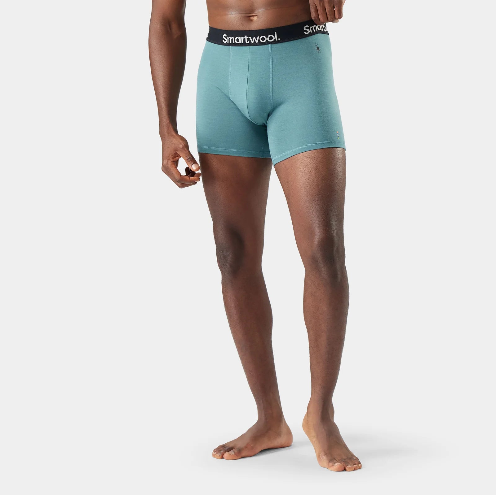 Mens Everyday Merino Boxer Brief Boxed