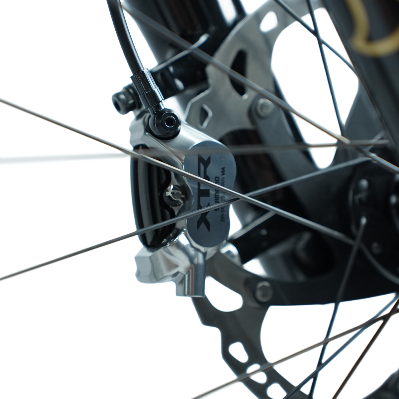 2026 | Stumpjumper 15 EVO S-Works Custom XTR Di2