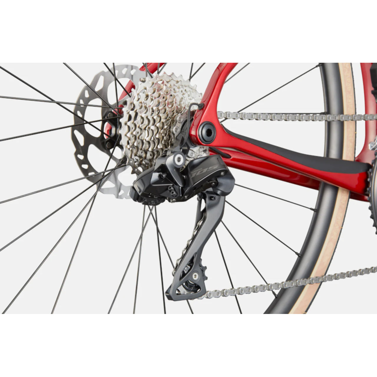 Synapse Carbon 4