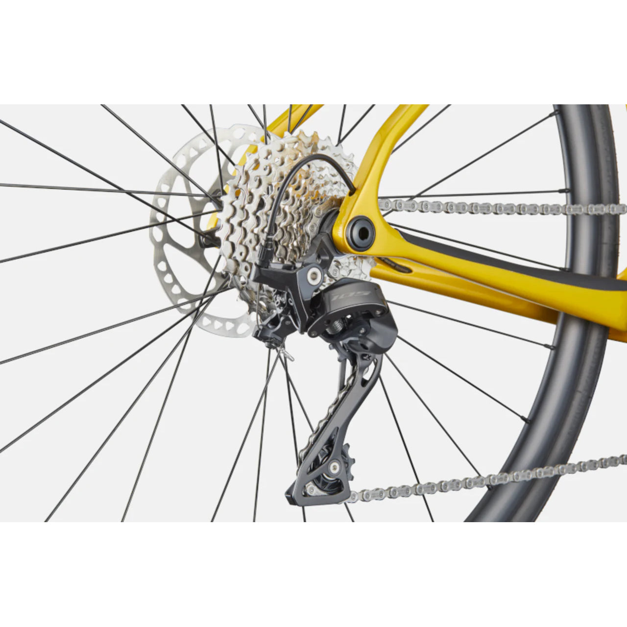 Synapse Carbon 5