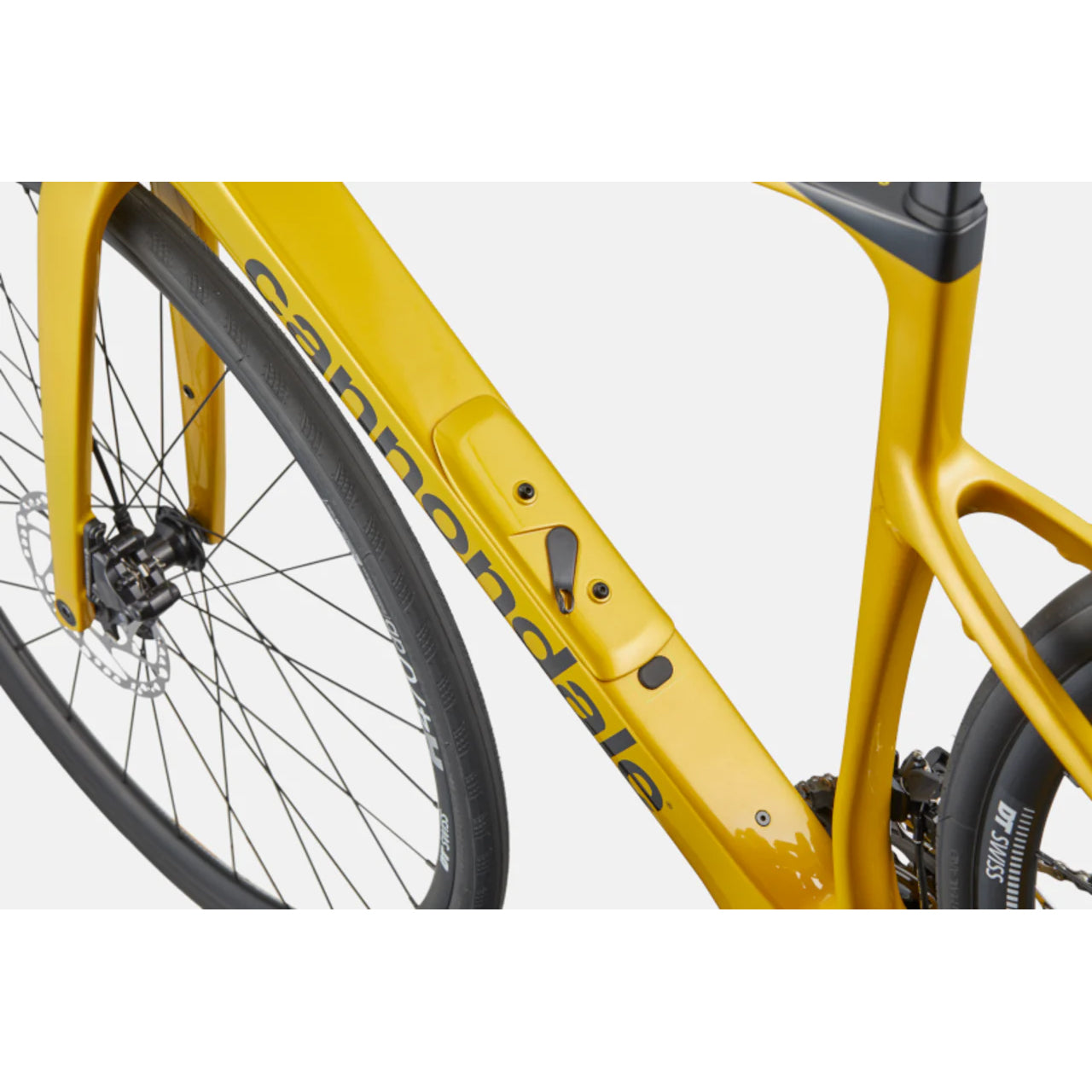 Synapse Carbon 5 – The Bike Shop