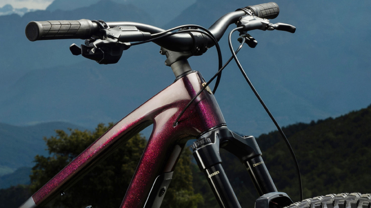 2026 | Fuel EX Carbon Frameset Gen 7