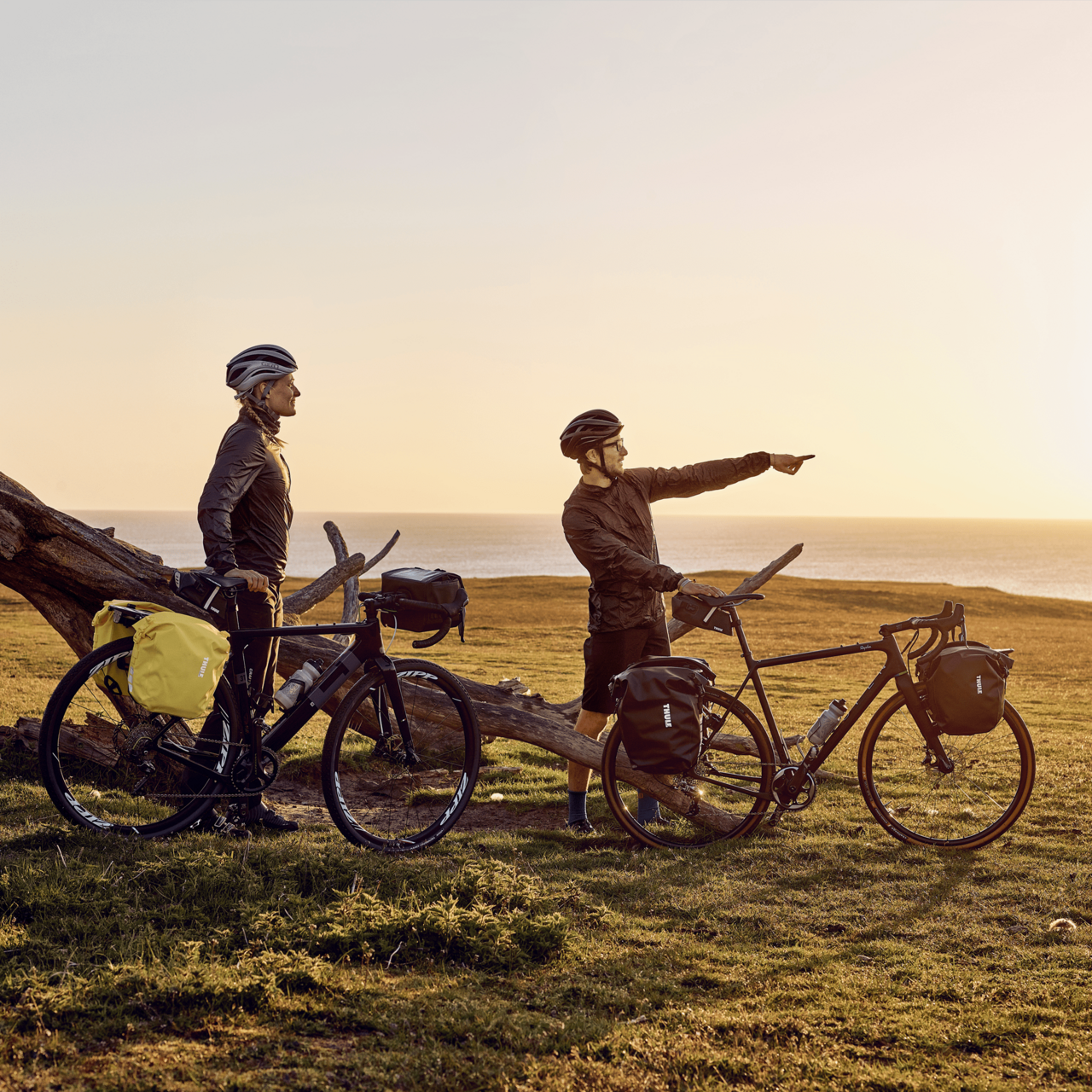Thule Shield Pannier - Pairs