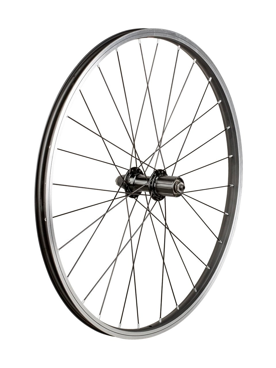 Trek Kids' 28 Hole 24" Wheel