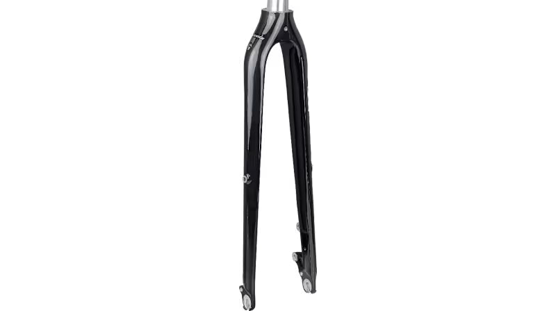 Trek Satellite+ Carbon Disc Neutral 700c Fork
