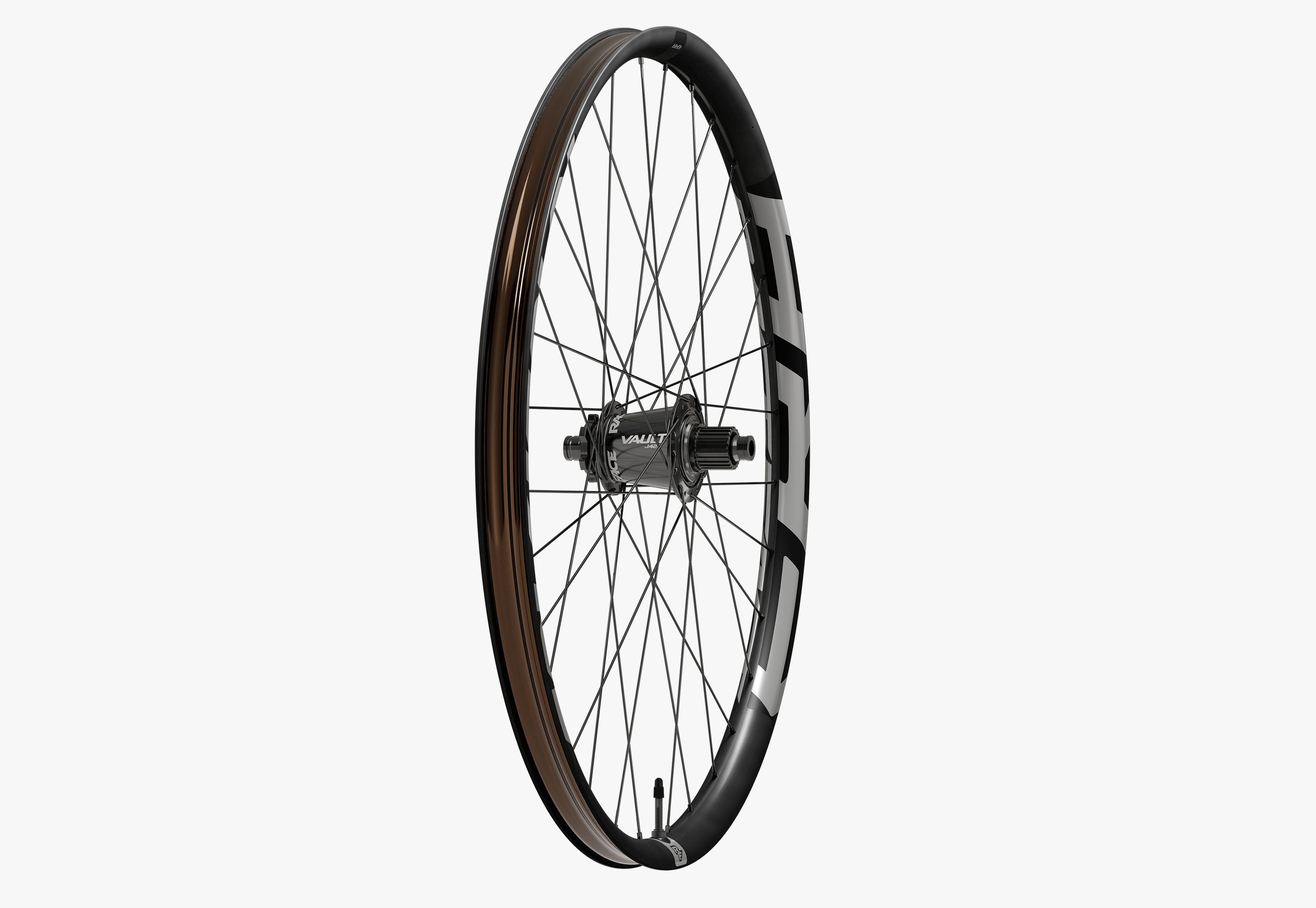 Era eMTB Wheels