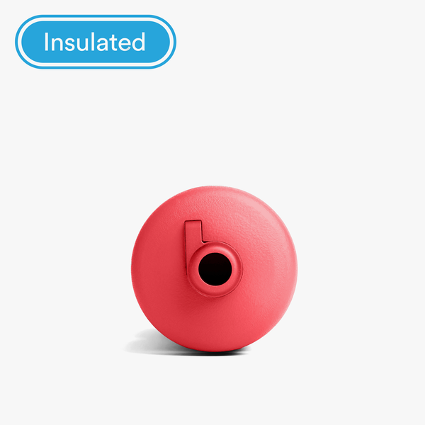Trio Insulated - 21 oz