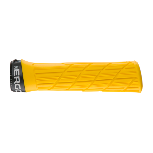 GE1 Evo