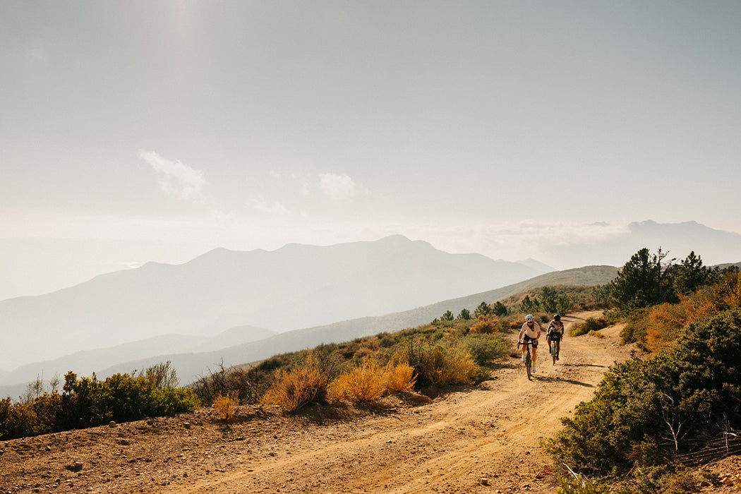 Road & Gravel Bikes