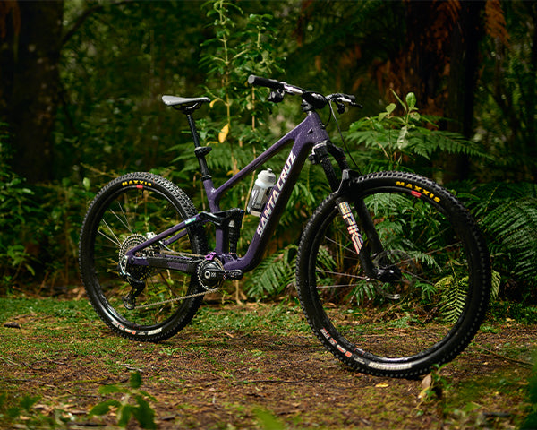 The Bike Shop