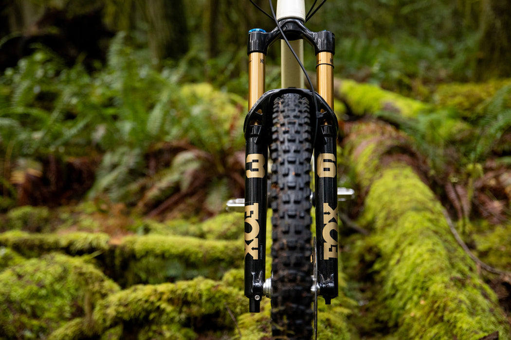 Forks & Suspension